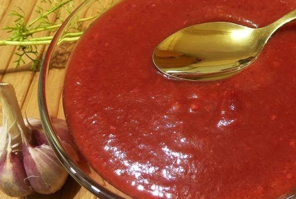 Вкусный сливовый соус: подборка рецептов без варки