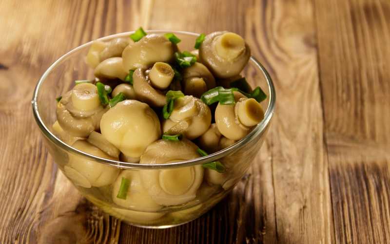 ТОП-10 простых и вкусных рецептов маринадов для грибов