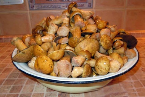 моховые грибы в тарелке