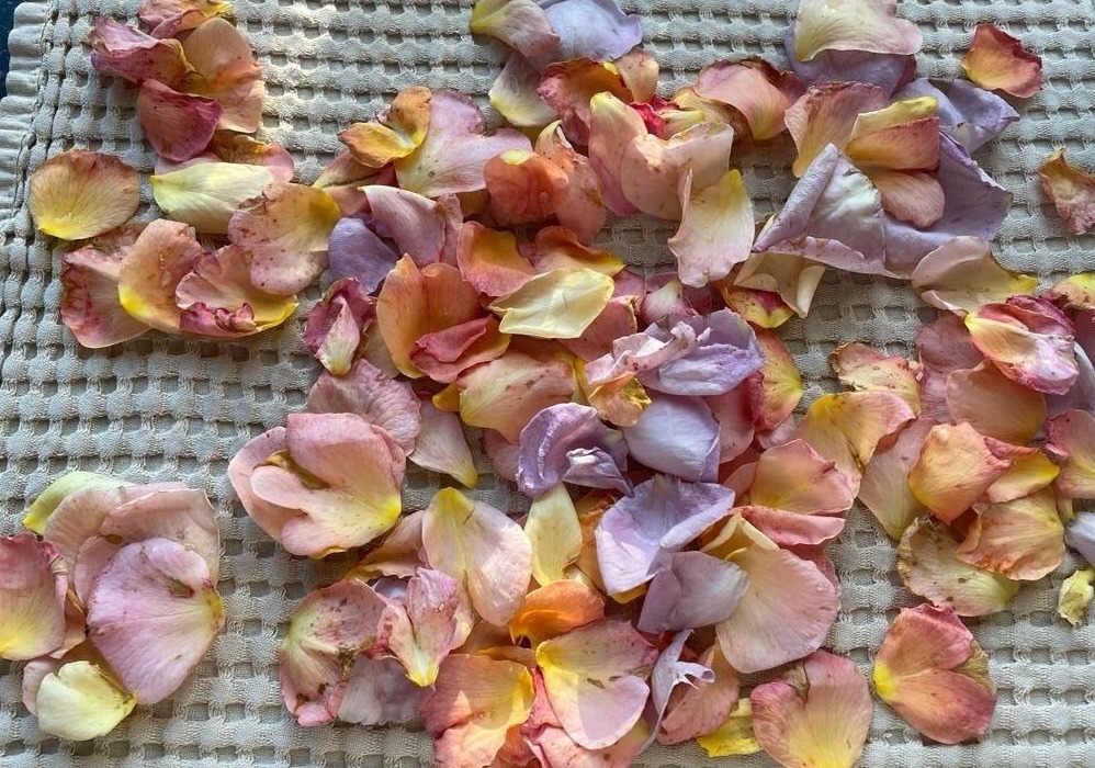 Сладкие угощения: рецепты варенья из лепестков роз с фото