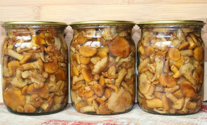 ТОП-10 простых и вкусных рецептов маринадов для грибов